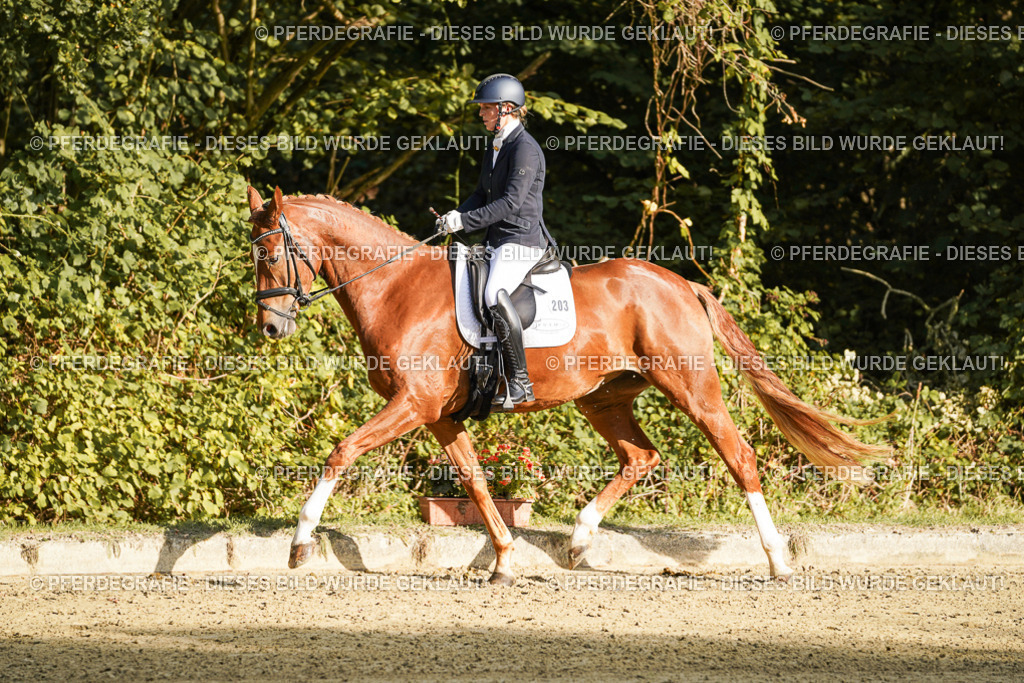 DSC05415 | Pferdegrafie