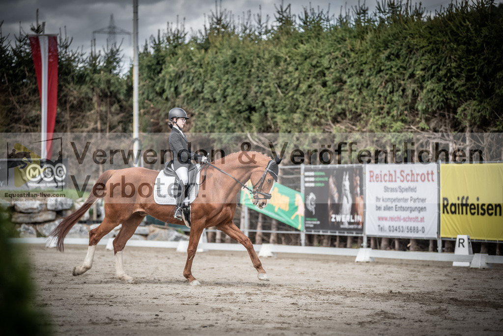 DSC_3254 | equestrian-live-com
