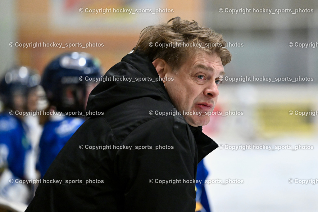Wildcats Paternion vs. Lady Hawks  | Wildcats Paternion vs. Lady Hawks , Wildcats Paternion vs. Lady Hawks  am 27.01.2025 in Spittal an der Drau (Eissportzentrum Spittal), Austria, (Photo by Bernd Stefan)