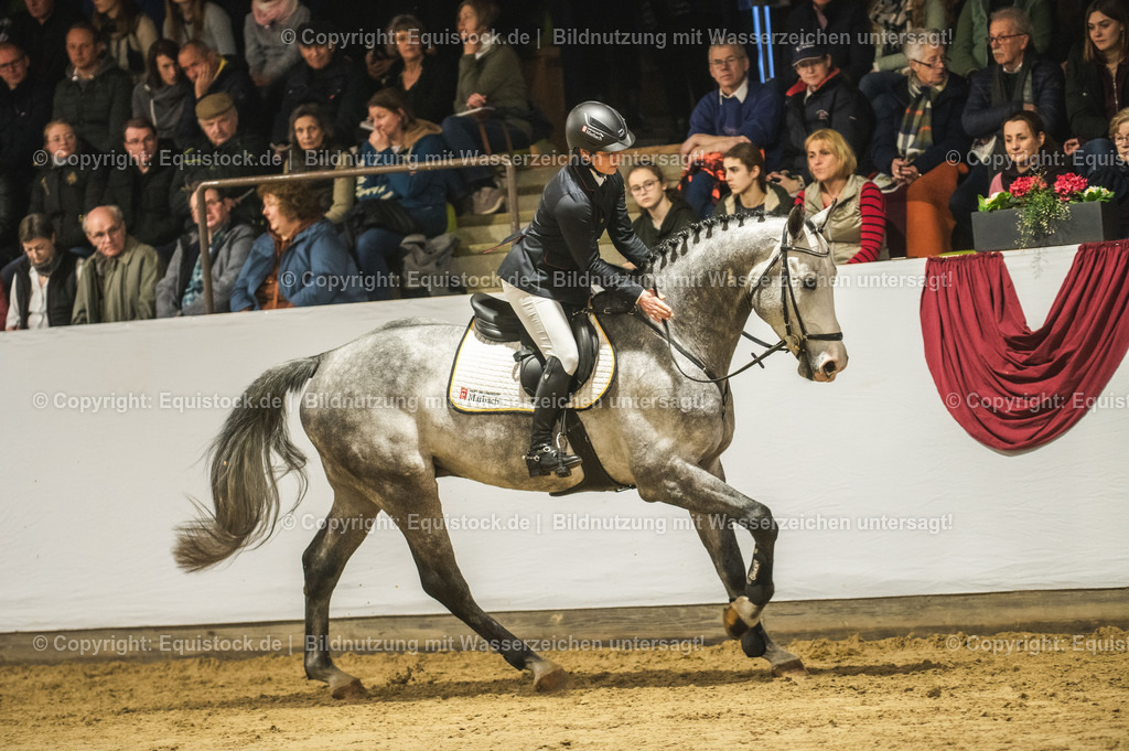 20240302_Hengstvorstellung_Marbach_TOMsPiC_0326 | equistock