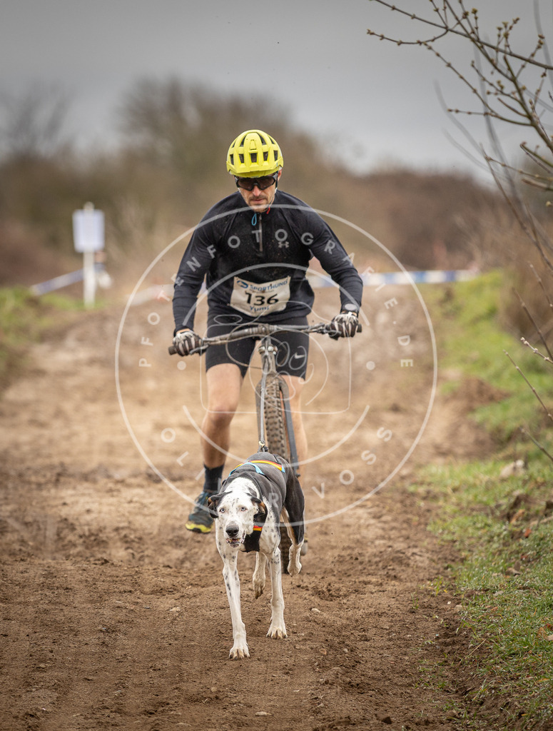 DV3A1317 | Hundefotografie, Tierfotograf, Pfotenfotografie, Fotoshooting Hund, Hunde Portrait, Hundesport, Hundeportraits, Heideshooting, Hunde, Sportfotograf, Hundefotograf, Turnierhundsport, THS,  - Realisiert mit Pictrs.com