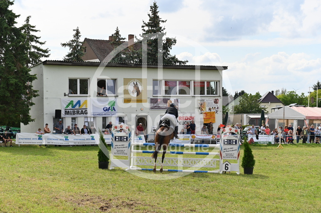 DSC_3611 | sattelsport - Realisiert mit Pictrs.com