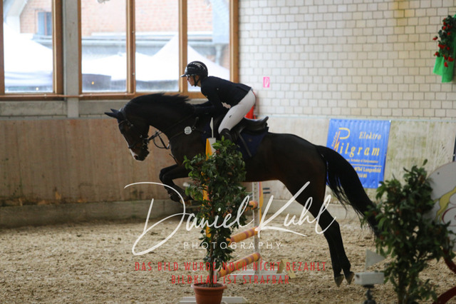 IMG_0620 | Turnierfotos kaufen im Webshop von Daniel Kuhl Photography – entdecke professionelle Reitsportfotos aus Turnieren & Events. Hochwertige Turnierbilder online bestellen & sichern. Jetzt Fotos von Reitsportturnieren kaufen!