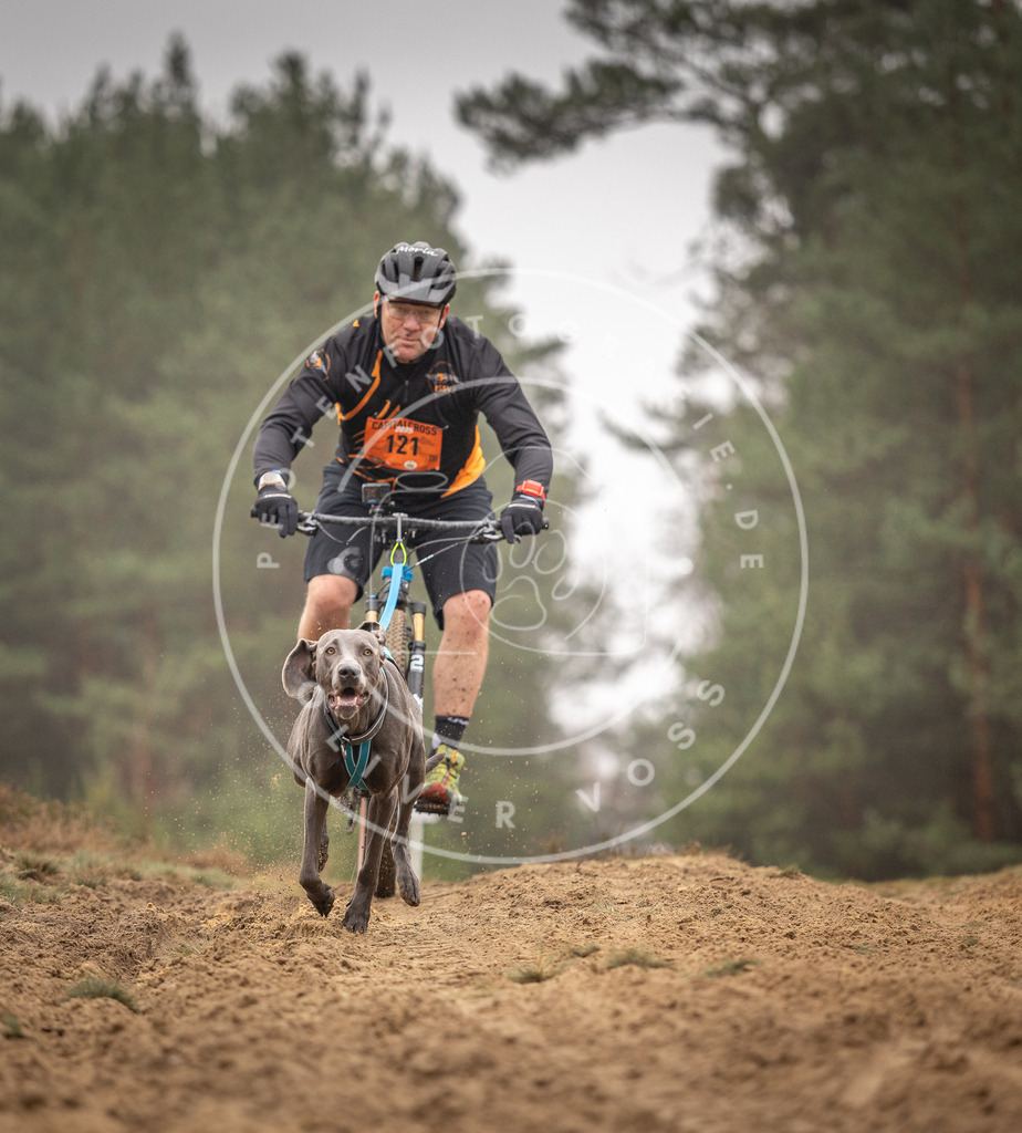 Pfotenfotografie_DV3A3517 | Hundefotografie, Tierfotograf, Pfotenfotografie, Fotoshooting Hund, Hunde Portrait, Hundesport, Hundeportraits, Heideshooting, Hunde, Sportfotograf, Hundefotograf, Turnierhundsport, THS,  - Realisiert mit Pictrs.com