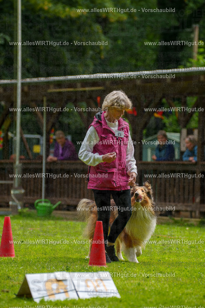 @allesWIRTHgut_Tierfotografie - www.allesWIRTHgut.de - 095142-7R507753 | Professionelle Tierfotografie in Mönchengladbach von Daniel Wirth (allesWIRTHgut). Liebevolle & natürliche Bilder von Hunden & Katzen für unvergessliche Erinnerungen.
