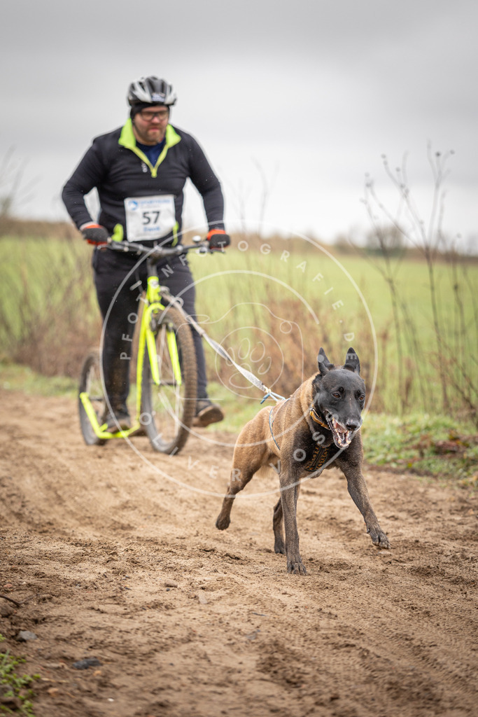 DV3A9306 | Hundefotografie, Tierfotograf, Pfotenfotografie, Fotoshooting Hund, Hunde Portrait, Hundesport, Hundeportraits, Heideshooting, Hunde, Sportfotograf, Hundefotograf, Turnierhundsport, THS,  - Realisiert mit Pictrs.com