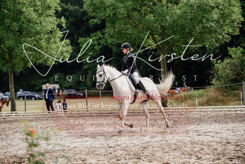 DSC_9464 | Pferde- und Turnierfotografie in Westsachsen. Pferdeportraits, Auftragszeichnungen und intuitive Kunst.