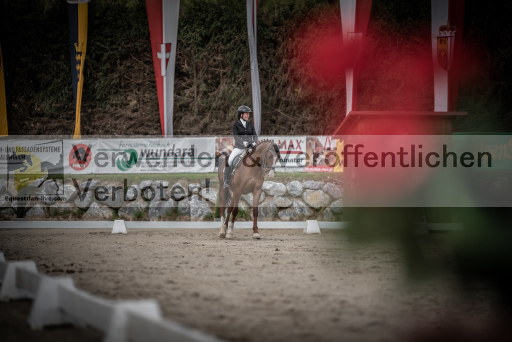 DSC_3071 | equestrian-live-com