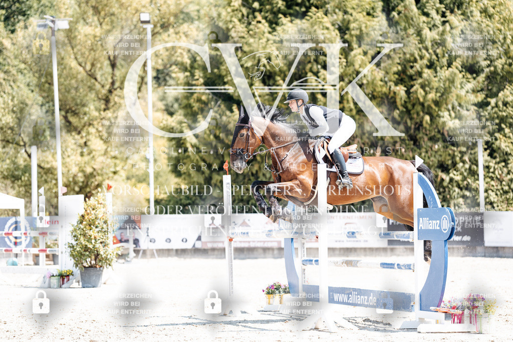 CK900462 | Turnierfotografie Pferdefotografie Trier Rheinland-Pfalz Pferdesport Reitsport Tierfotografie Sportfotografie Pferdevideo Pferdevideografie Equestrianvideography equestrianphotography  - Realisiert mit Pictrs.com