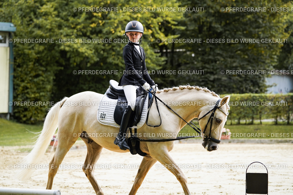 DSC05114 | Pferdegrafie