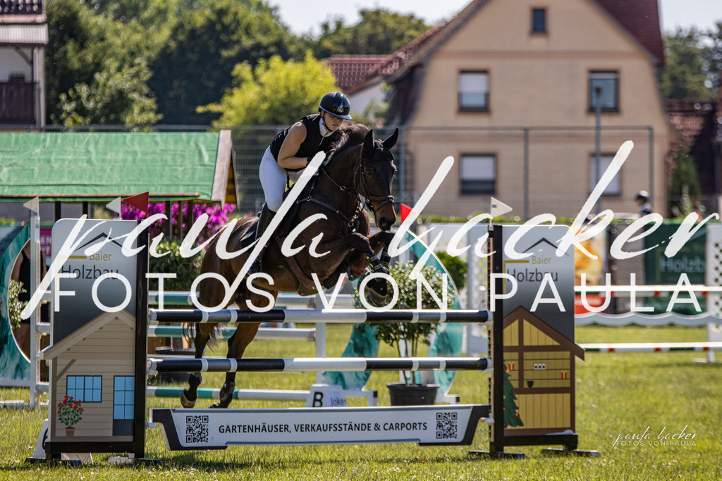 IMG_0184 | Erleben Sie dynamische Sport- und emotionale Tierfotografie in Süddeutschland mit Fotos von Paula. Spezialisiert auf Pferde- und Hundefotografie sowie Sportevents. Kontaktieren Sie mich für einzigartige und ausdrucksstarke Bilder Ihrer besonderen Momente. - Realisiert mit Pictrs.com