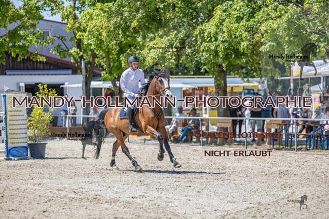 26-7-24 SPF m++-455 | mandyhollmannphotographie
