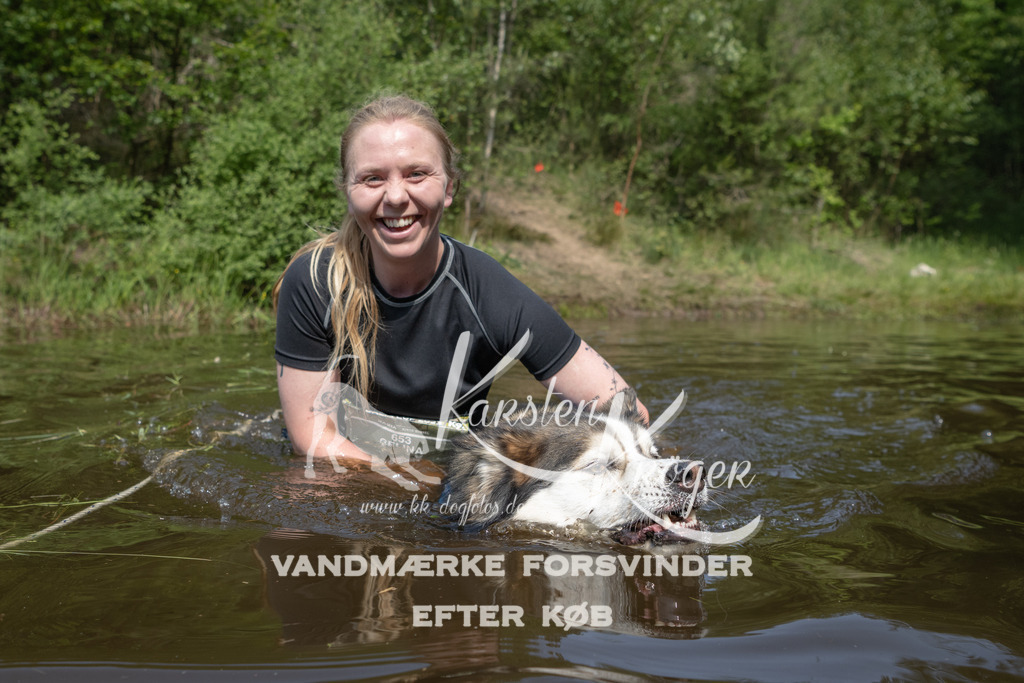 1039DKK991146 | kk-dogfotos