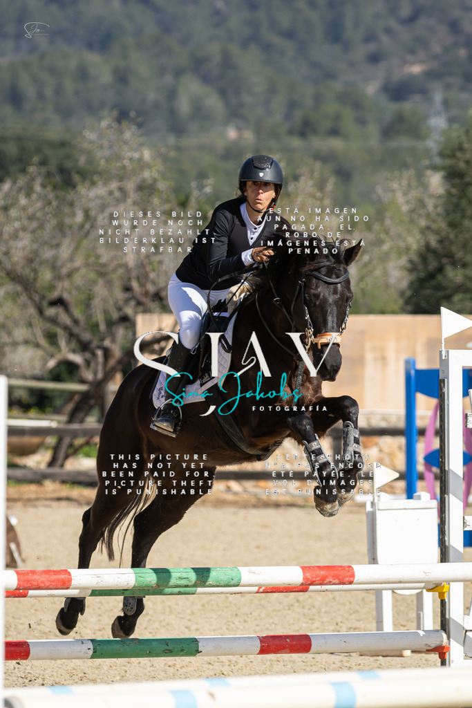 IMG_6238 | s-jay-photography - Realisiert mit Pictrs.com