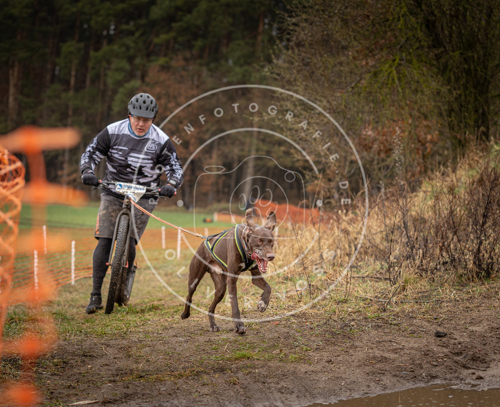 DV3A9449 | Hundefotografie, Tierfotograf, Pfotenfotografie, Fotoshooting Hund, Hunde Portrait, Hundesport, Hundeportraits, Heideshooting, Hunde, Sportfotograf, Hundefotograf, Turnierhundsport, THS,  - Realisiert mit Pictrs.com