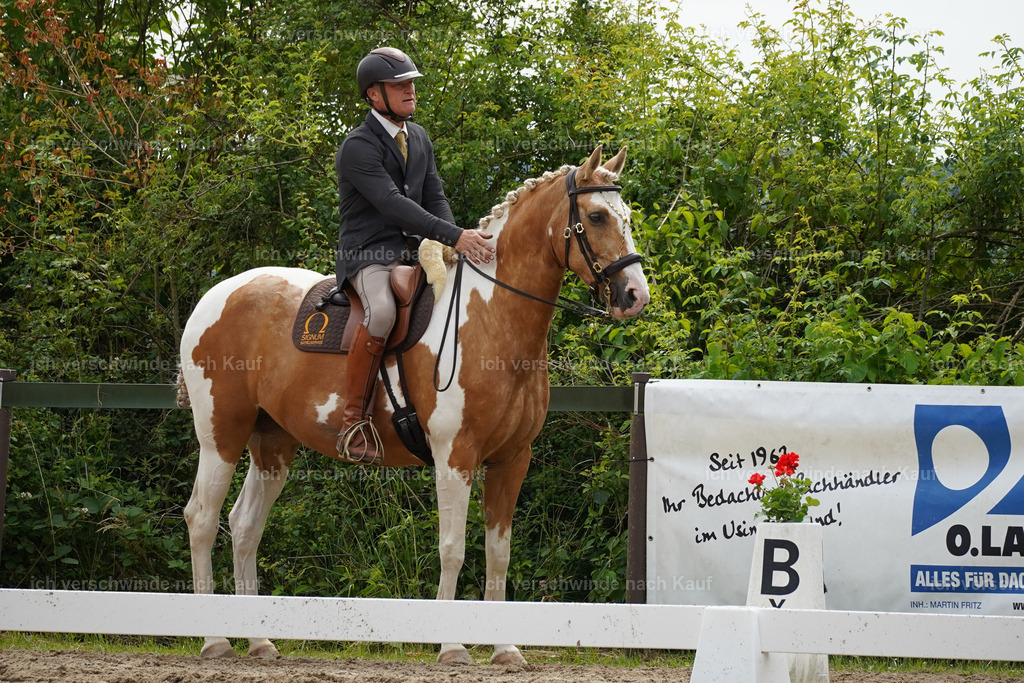 KlasseS_Lucie556 | working equitationturnier fotograf videograf stoibphotography marixx film working equitation deutschland reitsport turnierfotografie eventfotografie equestrian events