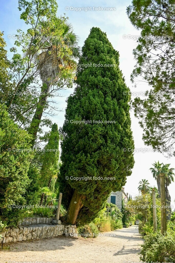 Arboretum von Trsteno_ Kroatien_ 11.10.2023-11 | 11.10.2023, Kroatien, HRV, Trsteno im Bild Arboretum, Trsteno, Hafen, Pflanzen, Brunnen, Neptunbrunnen, Wege, Palmen, Eukalyptus, Lorbeer, Kakteen, Zitrus, Oliven, Filmkulisse Game of Thrones

Das Arboretum von Trsteno befindet sich etwa 18 Kilometer nordwestlich der Stadt Dubrovnik im Sueden Kroatiens. Als einziges Arboretum an der oestlichen Adria-Kueste stellt es die aelteste Sammlung exotischer Baeume und Pflanzen des Landes dar.
Die Gartenanlage befindet sich entlang der Kuestenstraße zwischen den Ortschaften Orašac und Slano.
Quelle: Wikipedia