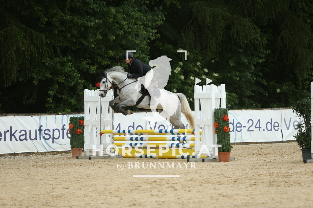 DL2Q0965 | Willkommen bei Brunnmayr - Design & Fotografie – Ihrem Spezialisten für Reitturniere und Pferdeveranstaltungen in Oberösterreich, Salzburg und Bayern! Seit über 17 Jahren sind wir leidenschaftlich dabei.
