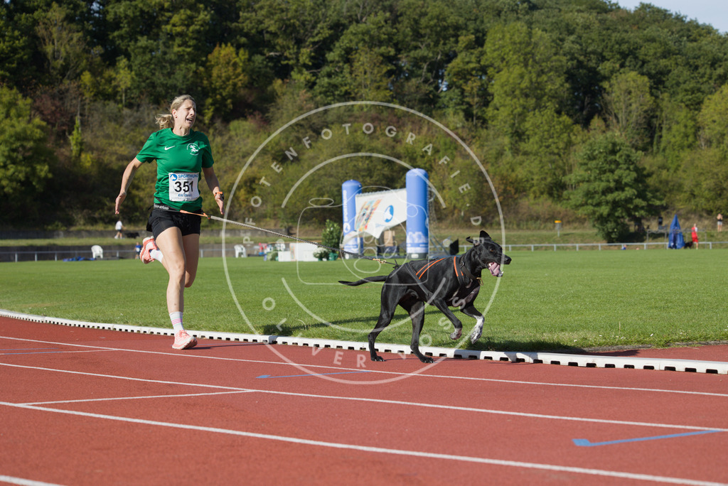 0L8A9557 | Hundefotografie, Tierfotograf, Pfotenfotografie, Fotoshooting Hund, Hunde Portrait, Hundesport, Hundeportraits, Heideshooting, Hunde, Sportfotograf, Hundefotograf, Turnierhundsport, THS,  - Realisiert mit Pictrs.com