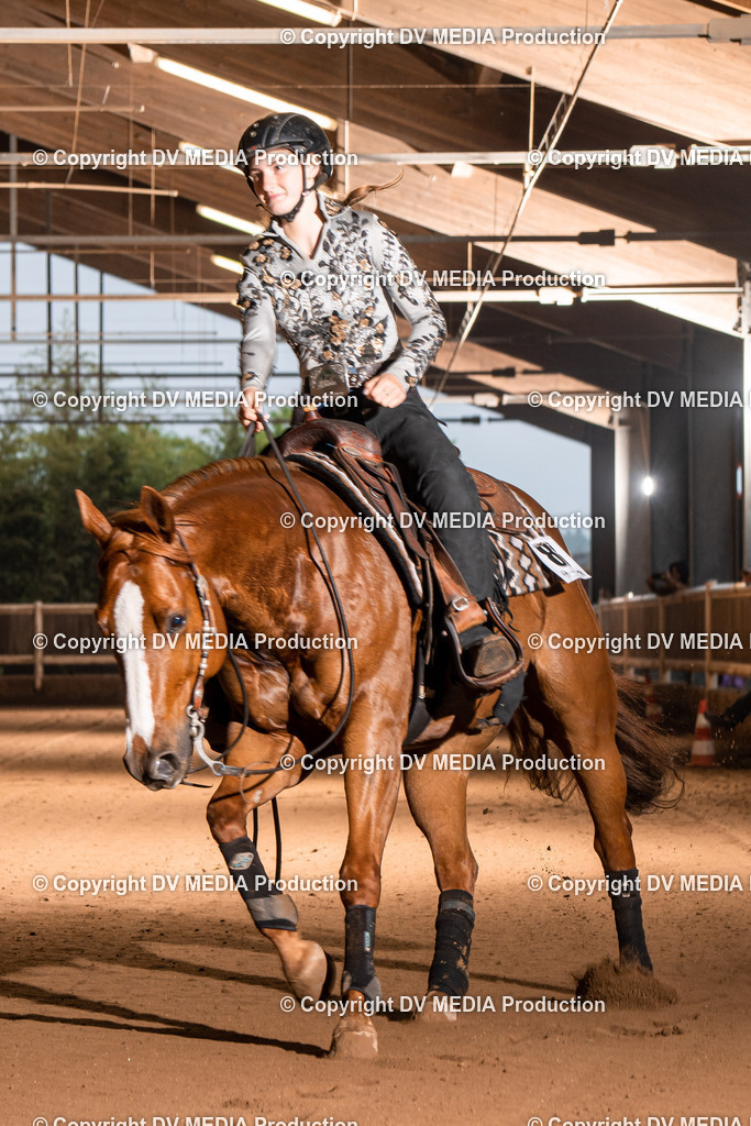 Erbach Tag 3-865 | dv-media-shop - Realisiert mit Pictrs.com