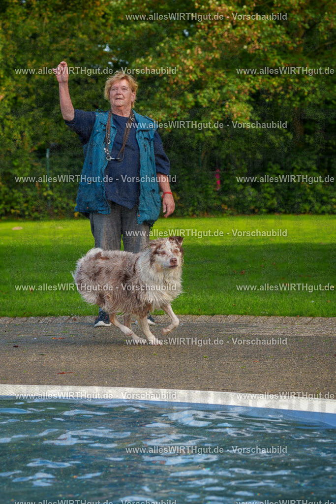 Hundeschwimmen_Grefrath_2026-allesWIRTHgut_Tierfotografie-15_13-FAY01141 | Professionelle Tierfotografie in Mönchengladbach von Daniel Wirth (allesWIRTHgut). Liebevolle & natürliche Bilder von Hunden & Katzen für unvergessliche Erinnerungen.