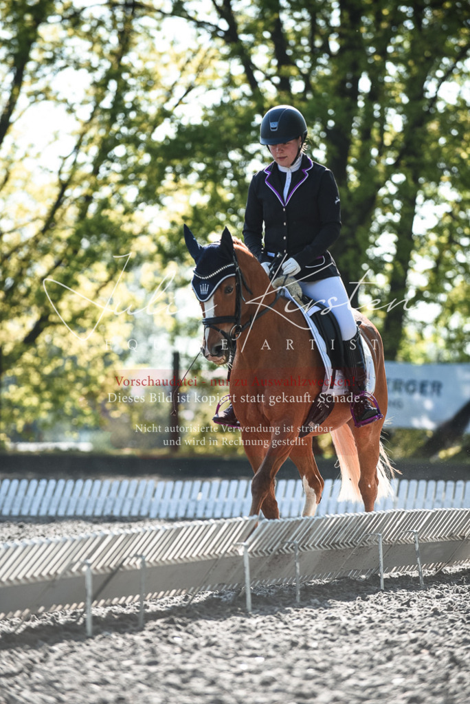 DSC_8405 | Pferde- und Turnierfotografie in Westsachsen. Pferdeportraits, Auftragszeichnungen und intuitive Kunst.