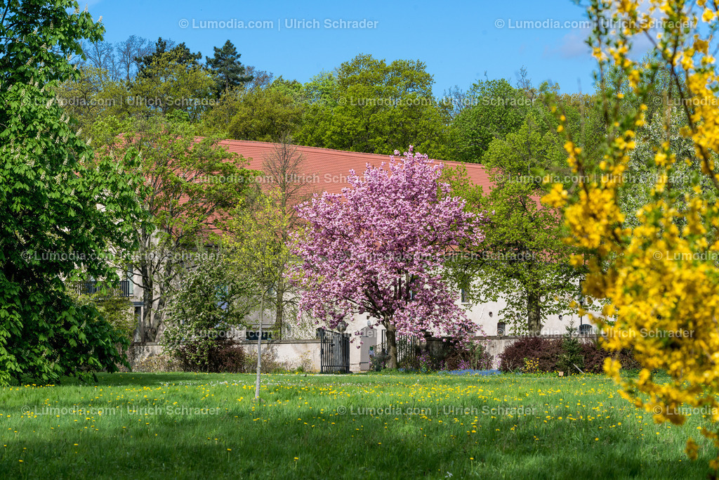 10049-3860 - Landschaftspark Degenershausen | Stockfoto und Bilderpool mit Bildmaterial aus Deutschland, dem Harz, Halberstadt, Quedlinburg, Wernigerode und weltweit. Qualitativ hochwertige und professionelle Fotos anschauen und kaufen. - Realisiert mit Pictrs.com