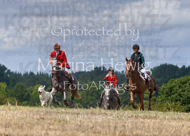 _MCH8455_Marina Hewig | Fotografie, FotoArt, PferdesportArt, Pferdesportfotografie, Landschaftsfotografie, Reisefotografie, Reise, Pferde - Realisiert mit Pictrs.com