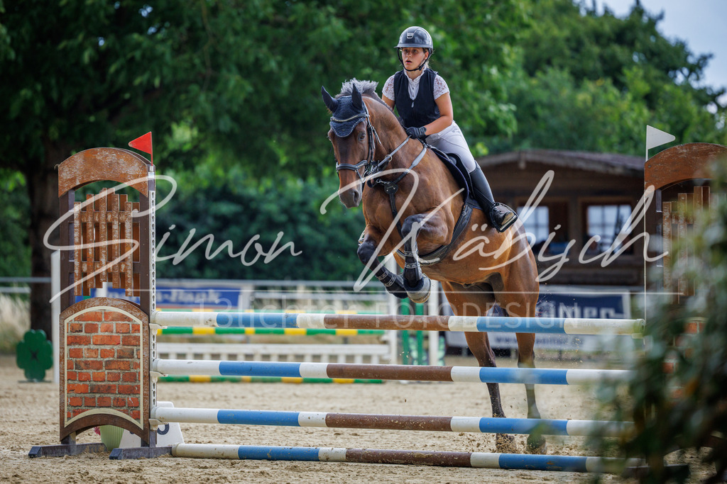 20260705-_3LI4978 | Tierfotografie Pferde, Hunde, Katzen, Haustiere.
Turnierfotografie Reitturniere, Reiten, Springreiten, Dressur in Hanau, dem Main-Kinzig-Kreis und dem Rhein-Main- Gebiet um Frankfurt