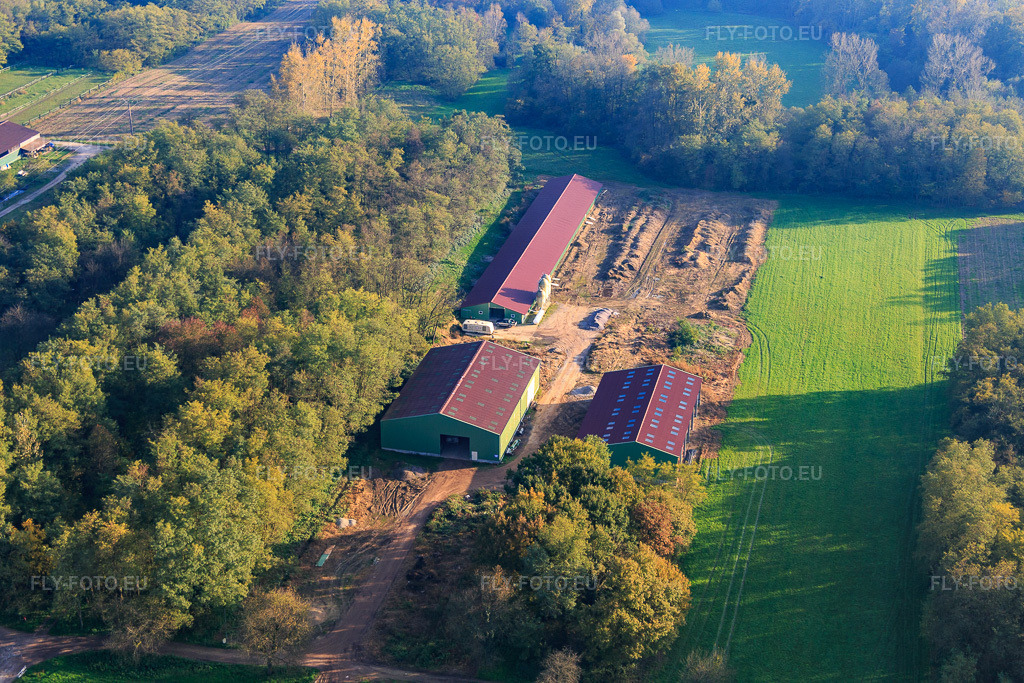 Vue aérienne: À Den Meyerhof avec la Ferme des Acacias à Schaffhouse-près-Seltz dans le département Bas Rhin, France – .Photo: IMG_075694.jpg prise le 01/11/2014 par Werner Riehm/FLY-FOTO.eu – Résolution de l'original: 5472 x 3648 px