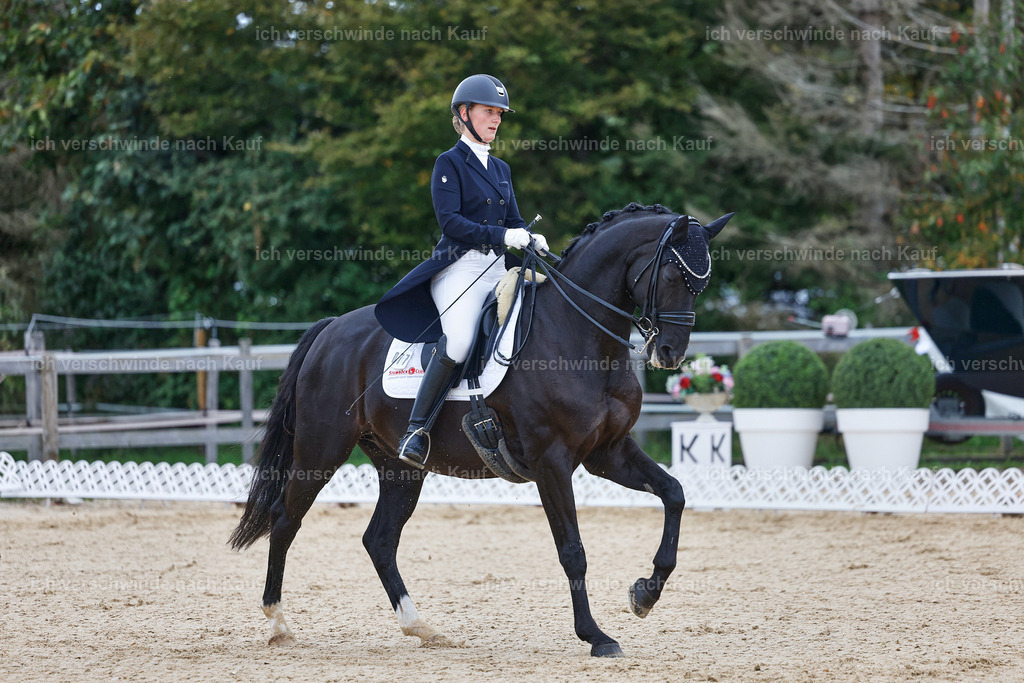 8_1-077-Klasse S_  -StoibPH-3816 | working equitationturnier fotograf videograf stoibphotography marixx film working equitation deutschland reitsport turnierfotografie eventfotografie equestrian events