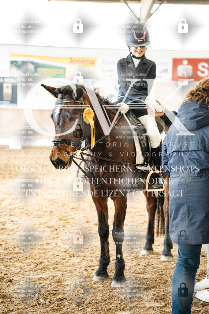 CK703113 | Turnierfotografie Pferdefotografie Trier Rheinland-Pfalz Pferdesport Reitsport Tierfotografie Sportfotografie Pferdevideo Pferdevideografie Equestrianvideography equestrianphotography  - Realisiert mit Pictrs.com