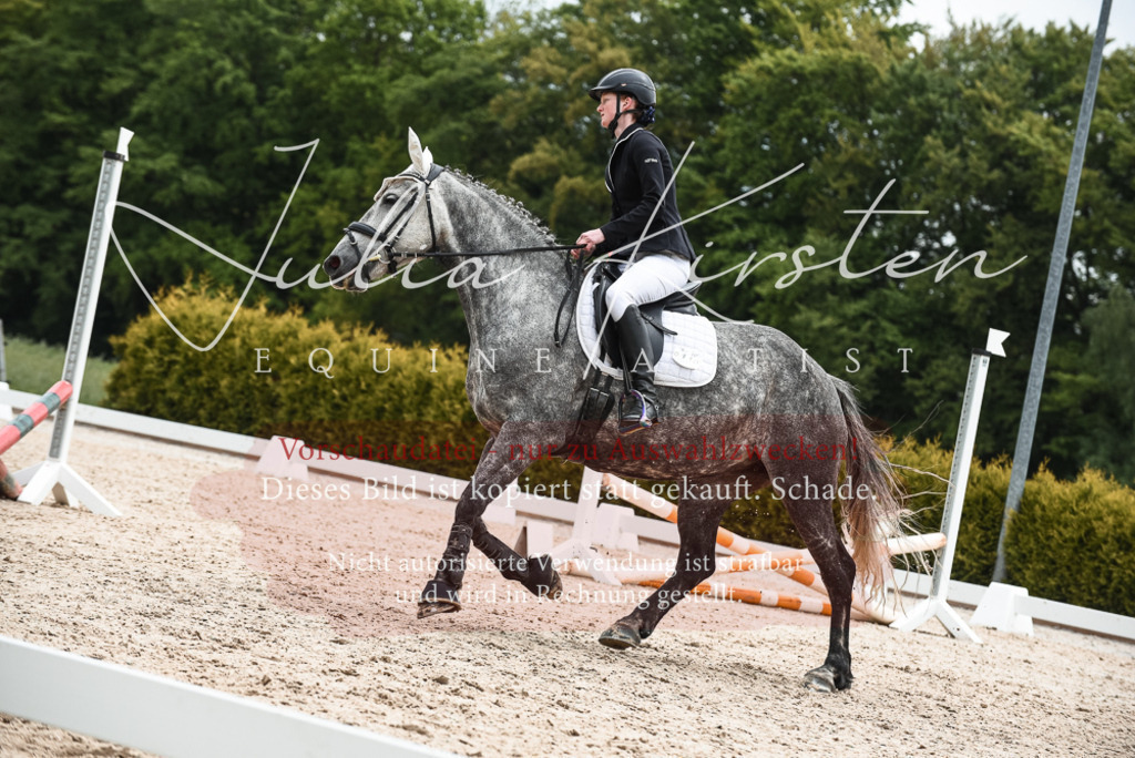 20230518_JK-Röhrsdorf-10-418 | Pferde- und Turnierfotografie in Westsachsen. Pferdeportraits, Auftragszeichnungen und intuitive Kunst.
