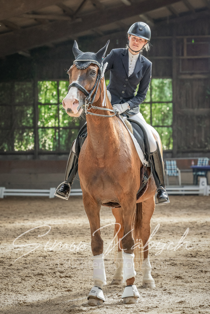 20250621-_3LI0223 | Tierfotografie Pferde, Hunde, Katzen, Haustiere.
Turnierfotografie Reitturniere, Reiten, Springreiten, Dressur in Hanau, dem Main-Kinzig-Kreis und dem Rhein-Main- Gebiet um Frankfurt