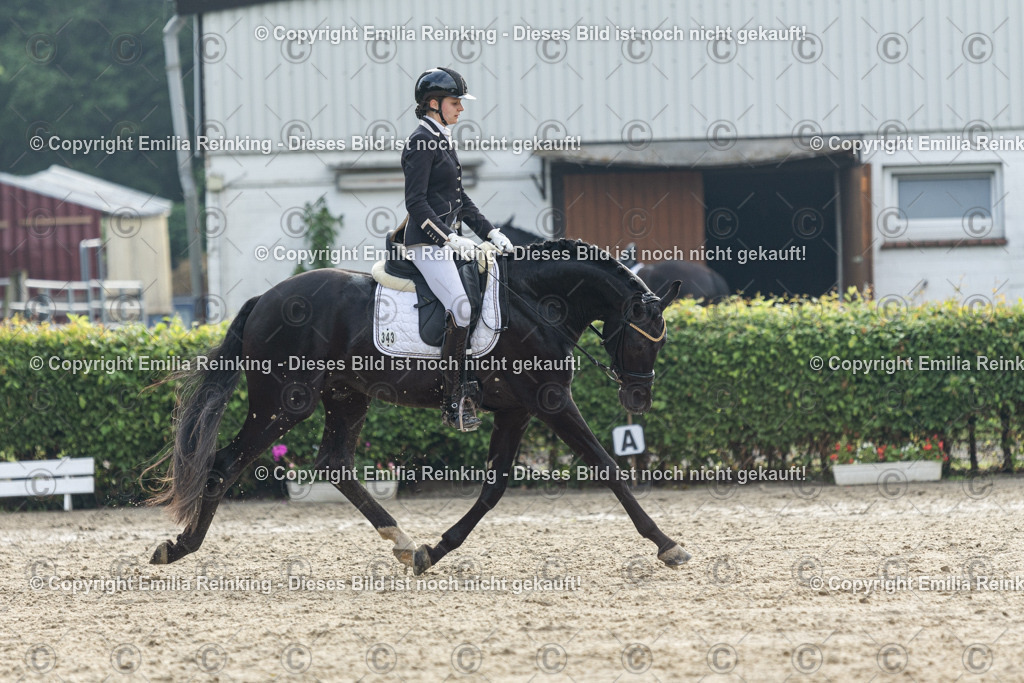 CL5A3993 | Emilia Reinking Fotografie - Realisiert mit Pictrs.com