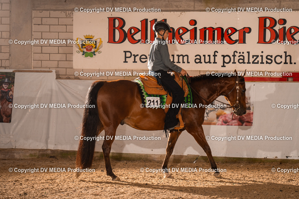 ZH200086 | dv-media-shop - Realisiert mit Pictrs.com