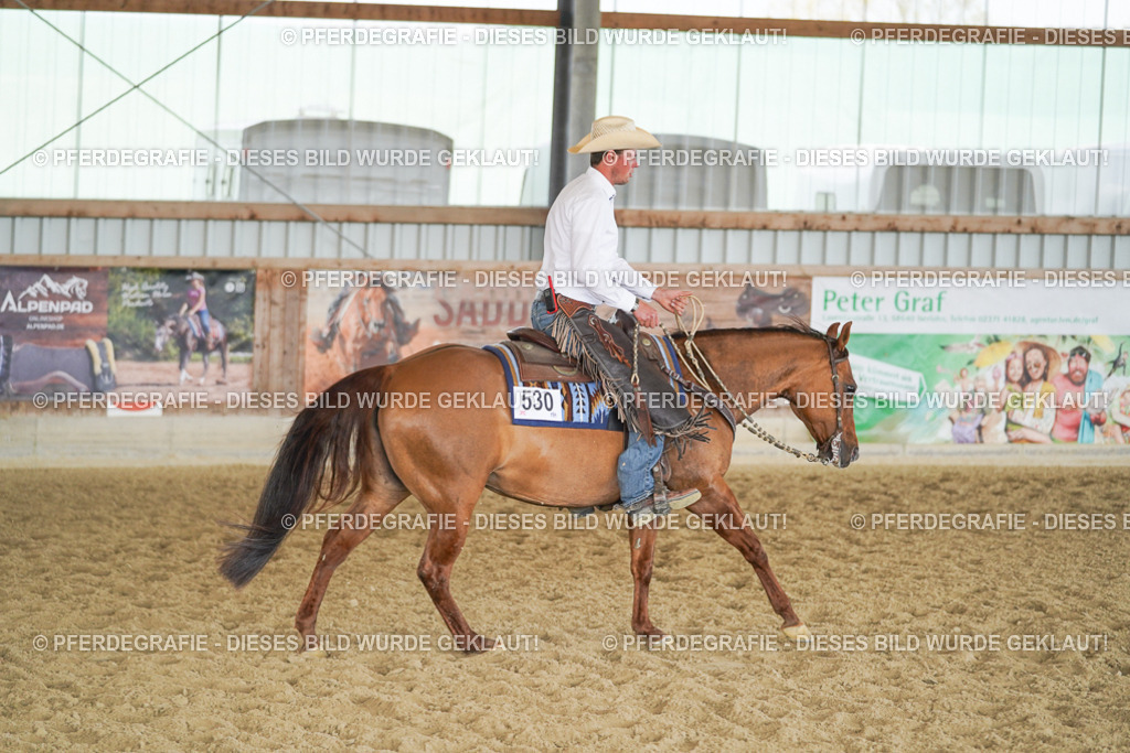 DSC00780 | Pferdegrafie