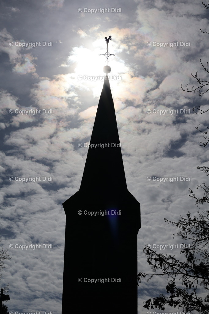 IMG_2123 | Didi - Realisiert mit Pictrs.com