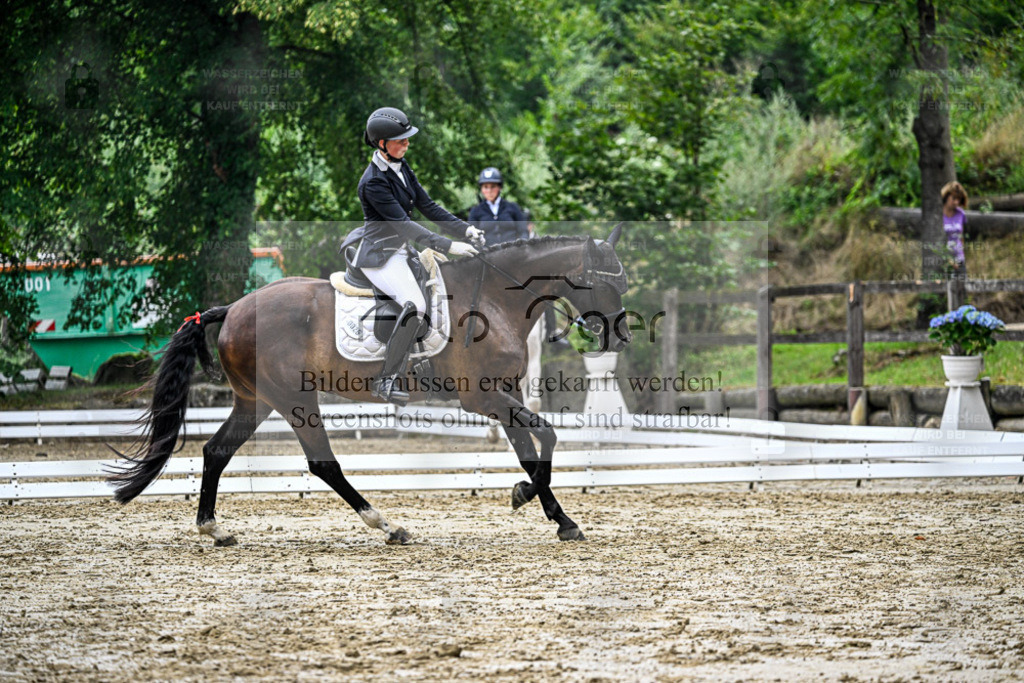 Bissendorfer Reitertage | Entdecke hochwertige Reitturnierfotos von Foto Oger. Professionell, emotional und authentisch – jetzt Lieblingsmomente im Shop bestellen. - Realisiert mit Pictrs.com