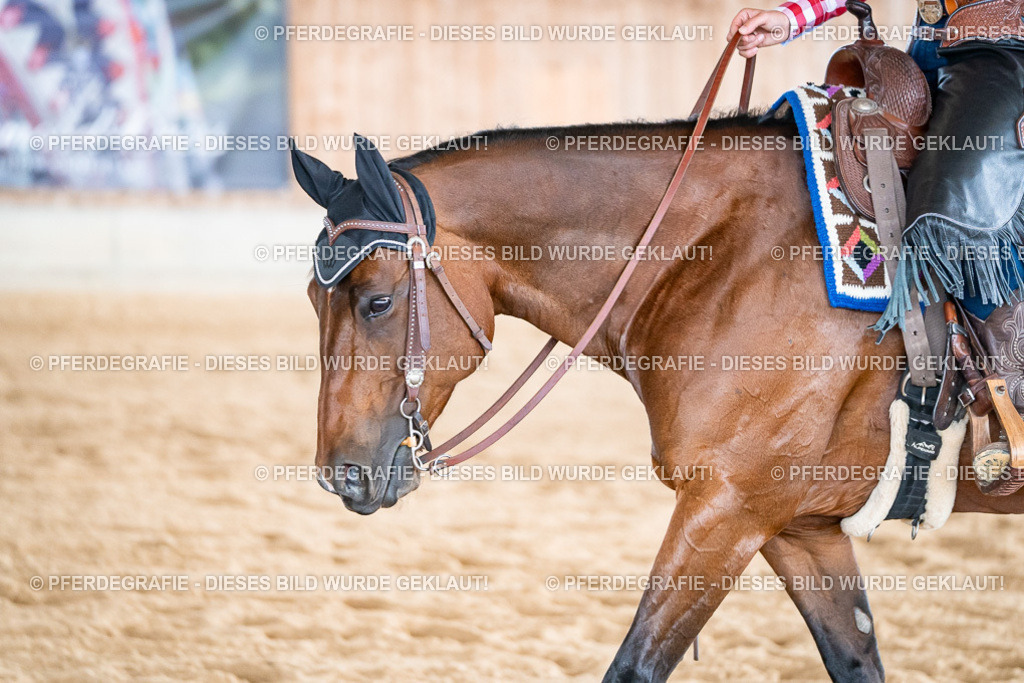 DSC08775 | Pferdegrafie