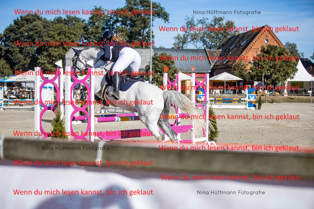 BK1A7418 | Turnierbilder Turnierfotos Nina Hüffmann Turnierfotografie Pferdefotografie Tierzeichnung Haustierzeichnung Pferdezeichnung Hundezeichnung Videograf  - Realisiert mit Pictrs.com