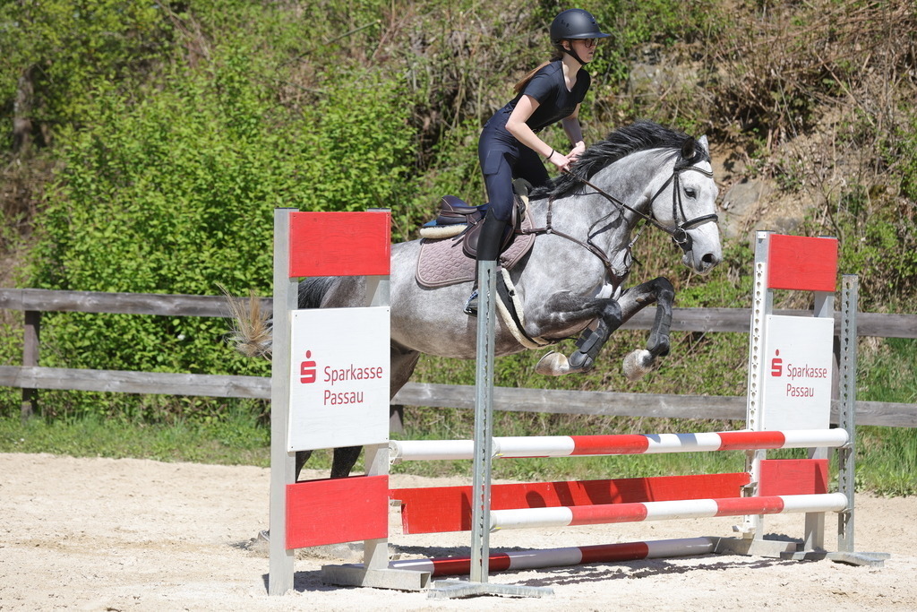 0P6A8881 | Willkommen bei Brunnmayr - Design & Fotografie – Ihrem Spezialisten für Reitturniere und Pferdeveranstaltungen in Oberösterreich, Salzburg und Bayern! Seit über 17 Jahren sind wir leidenschaftlich dabei.