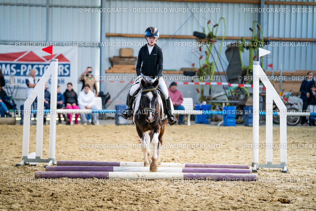 DSC01945 | Pferdegrafie