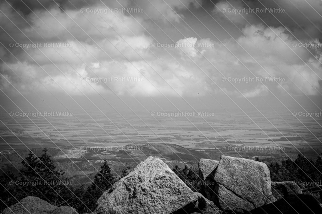 1D3A7834-Enhanced-RD | Rolf Wittke  - Realisiert mit Pictrs.com