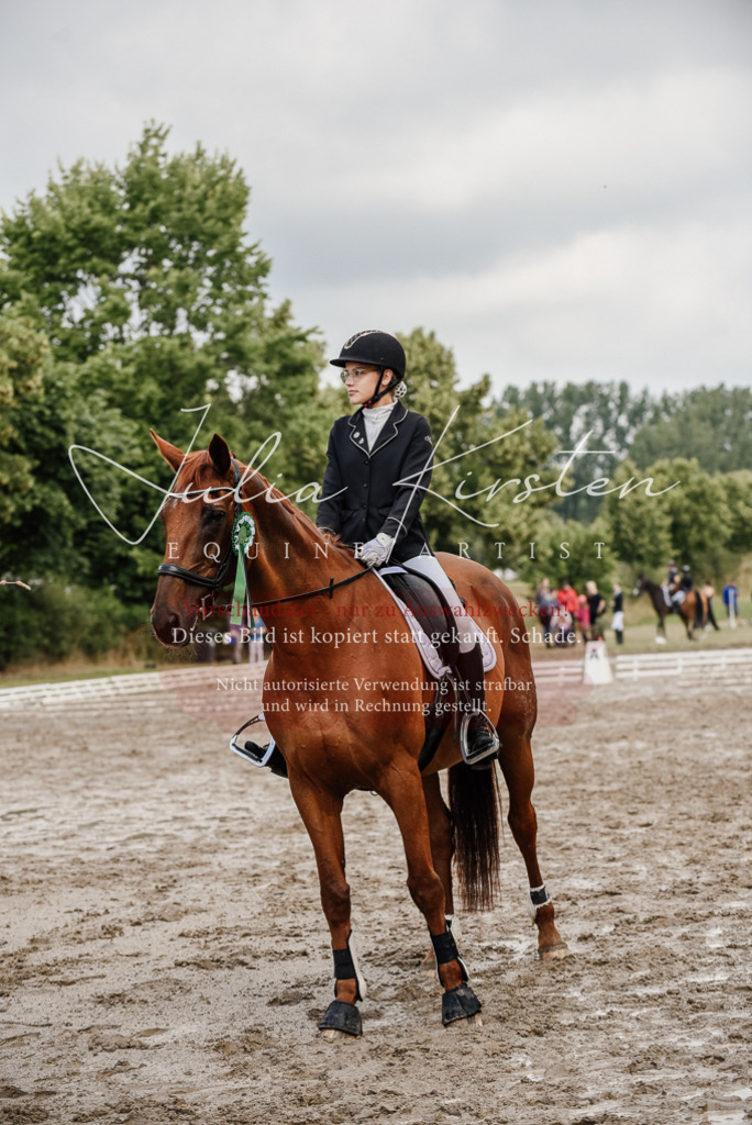 DSC_9378 | Pferde- und Turnierfotografie in Westsachsen. Pferdeportraits, Auftragszeichnungen und intuitive Kunst.