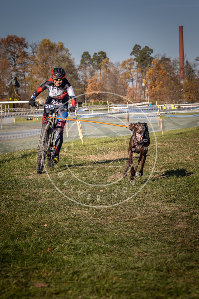 CaniXpix_0L8A6320 | Hundefotografie, Tierfotograf, Pfotenfotografie, Fotoshooting Hund, Hunde Portrait, Hundesport, Hundeportraits, Heideshooting, Hunde, Sportfotograf, Hundefotograf, Turnierhundsport, THS,  - Realisiert mit Pictrs.com