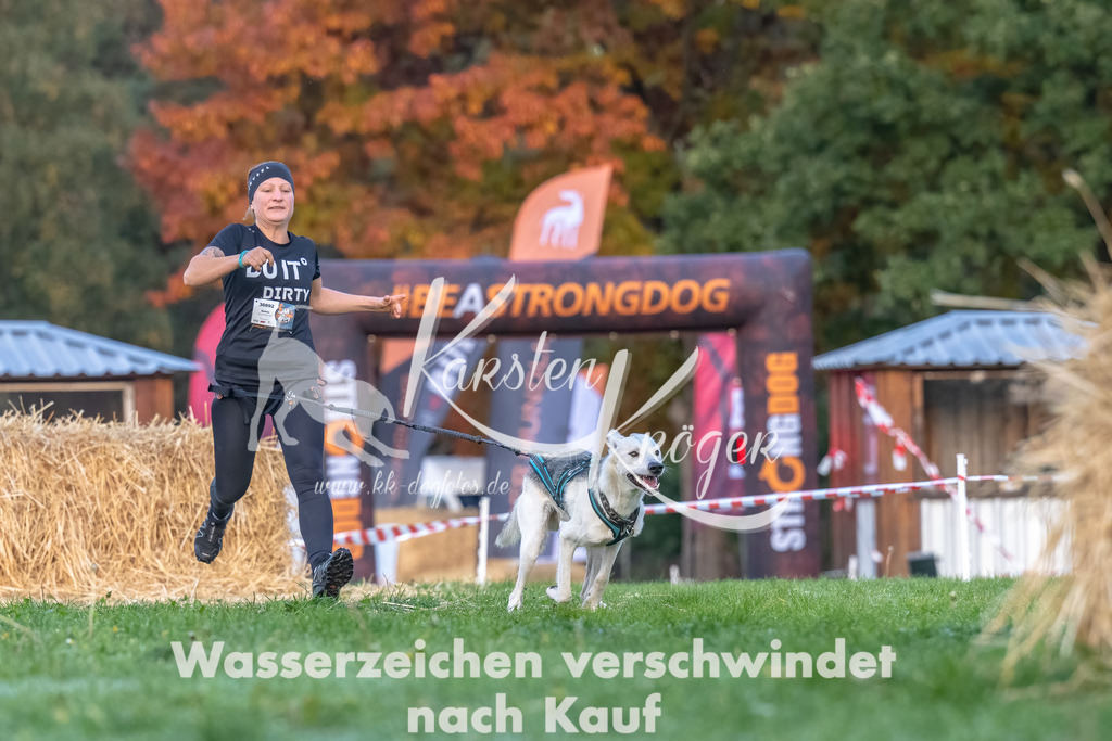 0814_ZZ94936-Bearbeitet | kk-dogfotos