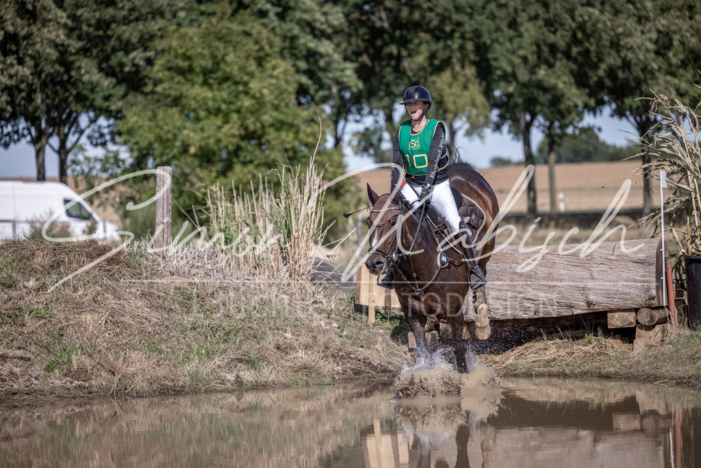 20260906-_3LI5718 | Tierfotografie Pferde, Hunde, Katzen, Haustiere.
Turnierfotografie Reitturniere, Reiten, Springreiten, Dressur in Hanau, dem Main-Kinzig-Kreis und dem Rhein-Main- Gebiet um Frankfurt