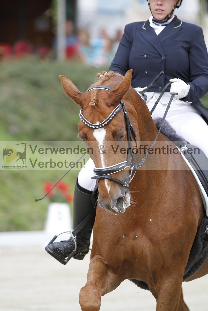 _MG_8728 | equestrian-live-com