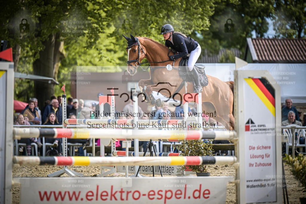 DOS_2750 | Entdecke hochwertige Reitturnierfotos von Foto Oger. Professionell, emotional und authentisch – jetzt Lieblingsmomente im Shop bestellen.Deutschlandweite Turnierfotografie. - Realisiert mit Pictrs.com